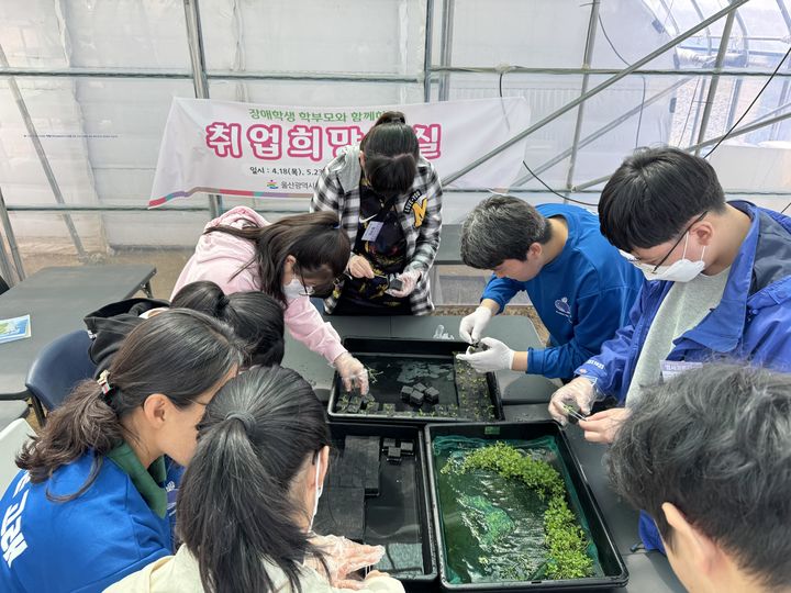 [울산=뉴시스] 특수교육대상학생 취업희망교실. 울산시교육청 제공 *재판매 및 DB 금지