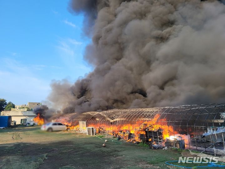 [제주=뉴시스] 12일 오전 제주 서귀포시 동홍동 한 가건물 의류점에서 화재가 발생해 소방당국이 진화에 나서고 있다. (사진=제주소방안전본부 제공) 2024.06.12 photo@newsis.com