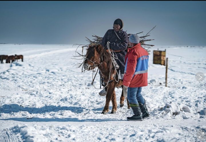 [우브스(몽골) =AP/뉴시스] 몽골 우브스 지방에서 목축 농민들이 가축에게 줄 건초를 옮기고 있다. 건조한 날씨에 폭설이 내리면 '조드'라는 기후 재난이 닥치게 된다. 2024.06.12. *재판매 및 DB 금지