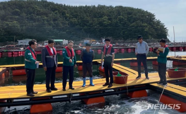 [통영=뉴시스]경남도 조현준(왼쪽서 세 번째) 해양수산국장과 강성중(왼쪽서 두 번째) 도의원이 지난 21일 통영시 산양읍 삼덕리 한 해상가두리 양식장을 방문해 고수온 등 여름철 자연재난 대비 상황을 점검하고 있다.(사진=경남도 제공) 2024.06.23. photo@newsis.com