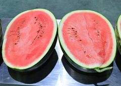 [봉화소식]"농산물 이름 지어주세요"…공동브랜드 공모전 등
