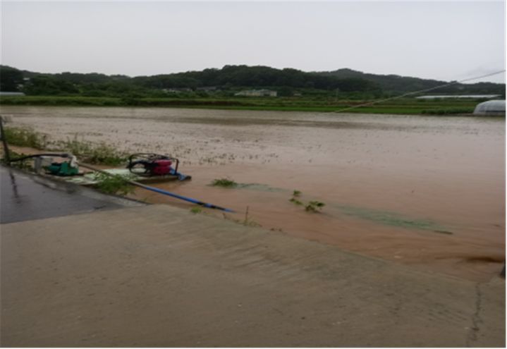 [안동=뉴시스] 8일 내린 오후로 침수된 예천군 풍양면 논. (사진=경북도 제공) 2024.07.08 *재판매 및 DB 금지