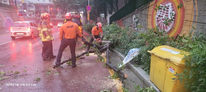 [부산=뉴시스] 10일 오전 부산 사상구의 한 도로에서 강풍에 쓰러진 가로수가 도로를 막고 있다는 신고가 접수돼 소방당국이 안전조치를 시행했다. (사진=부산소방재난본부 제공) 2024.07.10. photo@newsis.com *재판매 및 DB 금지