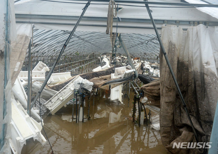 [완주=뉴시스] 김얼 기자 = 전북지역에 집중호우로 인한 피해가 이어지고 있는 10일 전북 완주군 운주면의 한 비닐하우스가 빗물에 쓸려 아수라장이 되어 있다. 2024.07.10. pmkeul@newsis.com