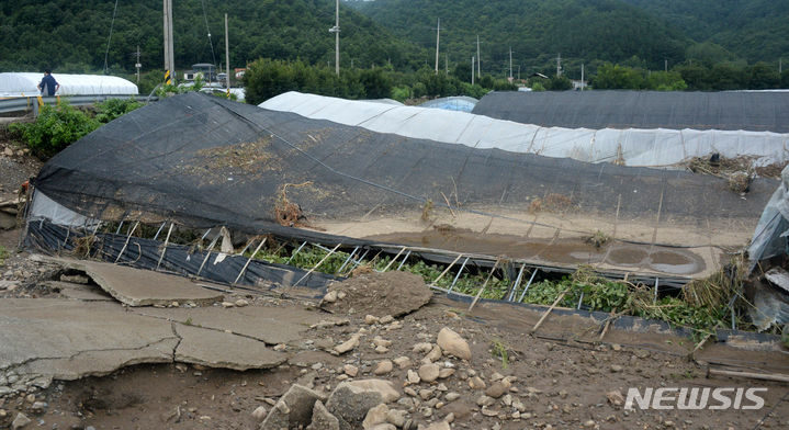 [완주=뉴시스] 김얼 기자 = 지난 11일 집중호우로 인해 피해를 입은 전북 완주군 운주면 제방에 쓰러진 비닐하우스가 방치되어 있다. 2024.07.11. pmkeul@newsis.com