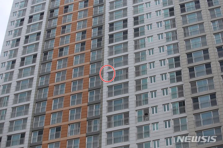 [청주=뉴시스] 서주영 기자 = 제헌절인 17일 충북 청주시 상당구 한 아파트 세대에서 태극기를 게양했다. 2024.07.17. juyeong@newsis.com *재판매 및 DB 금지