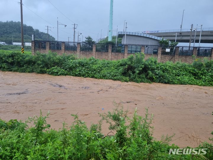 [평택=뉴시스] 홍수경보가 내려진 진위천 모습