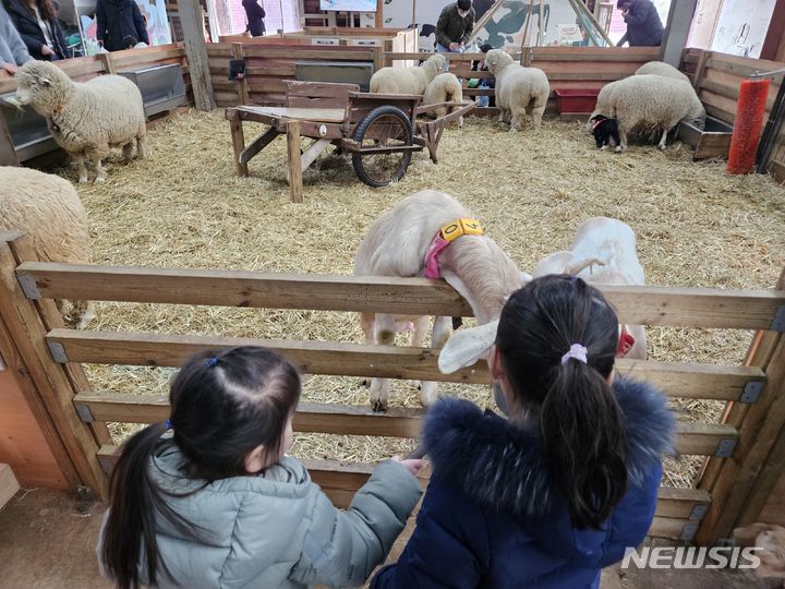 [고창=뉴시스] 류난영 기자= 매일유업이 운영하는 전북 고창에 위치한 농어촌 체험형 테마공원 '상하농원'에서 아이들이 먹이주기 체험을 하고 있다. 