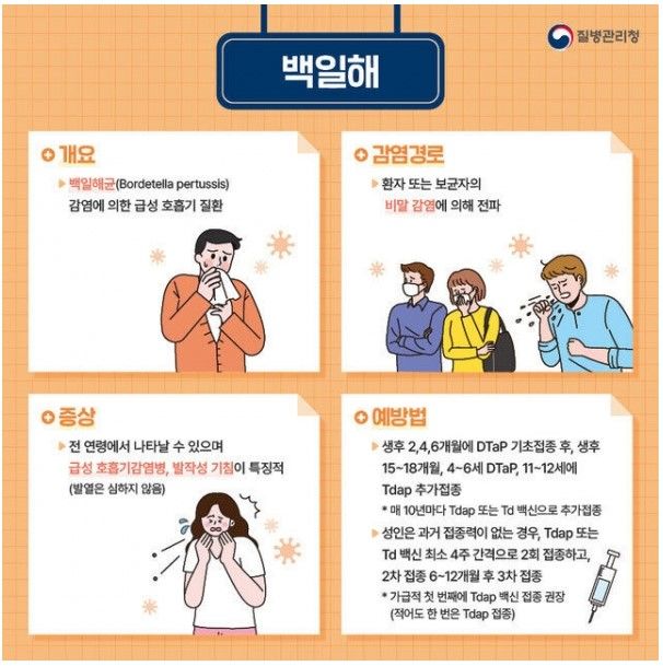 백일해 예방수칙. (사진=양평군 제공) *재판매 및 DB 금지 *재판매 및 DB 금지