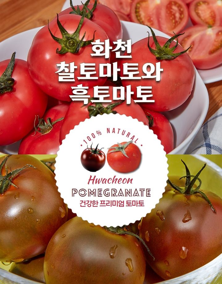 [서울=뉴시스]화천 찰토마토, 흑토마토.(사진=공영홈쇼핑 제공) *재판매 및 DB 금지