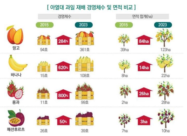 아열대 과일 재배 경영체 수 및 재배 면적. (자료 = 농촌경제연구원 보고서 캡쳐) 2024.08.01. *재판매 및 DB 금지