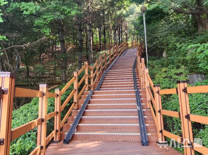 [용인=뉴시스] 환경을 개선한 수지구 죽전동 대지산 등산로. (사진=용인시 제공) 2024.08.02. photo@newsis.com 