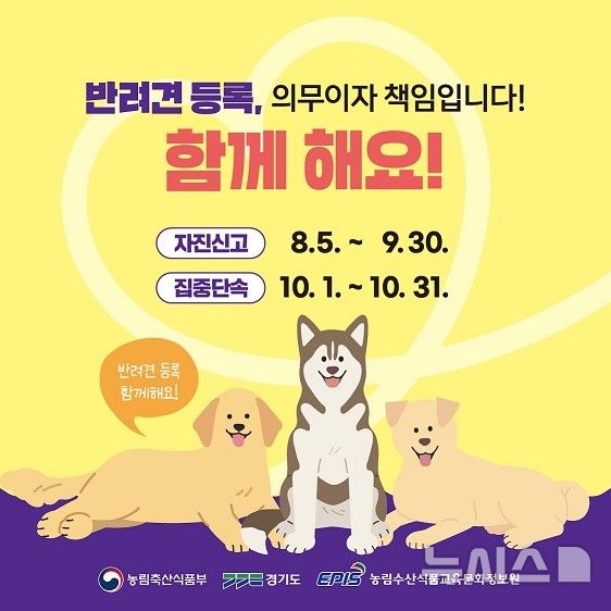 [파주=뉴시스] 9월까지 반려견 등록 자진 신고 기간 운영. (사진=파주시 제공) 2024.08.09 photo@newsis.com