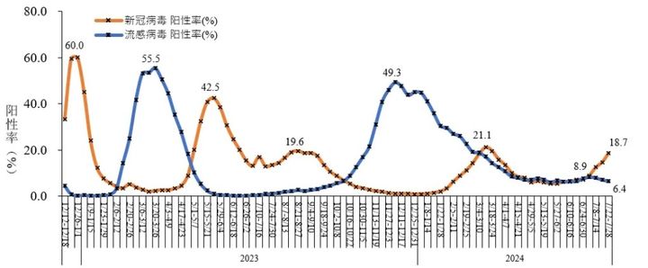 중국 질병통제예방센터의 코로나19 감염률 추이(주황색). 일정 주기로 등락을 거듭하고 있으며 7월 하순 상승세로 돌아서고 있음을 보여준다. 2024.08.13. *재판매 및 DB 금지