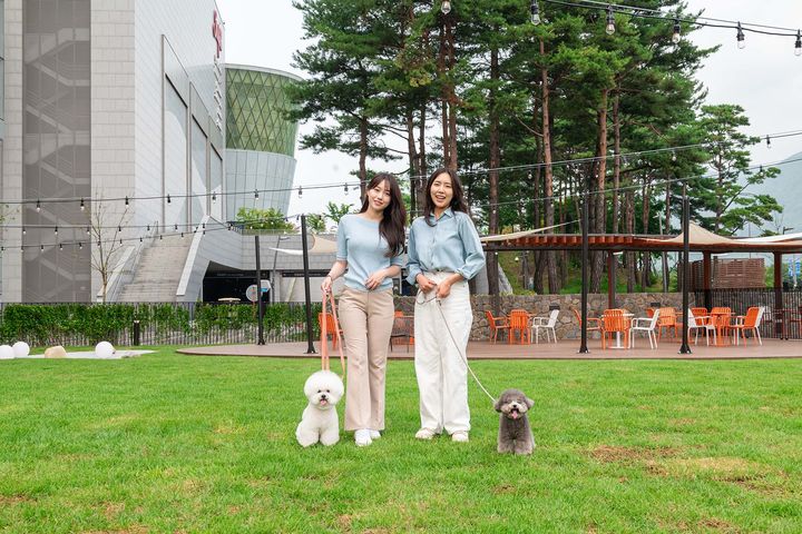 [펫과함께] "푹신한 천연잔디에서 반려견 산책을"…스타필드 하남 펫파크