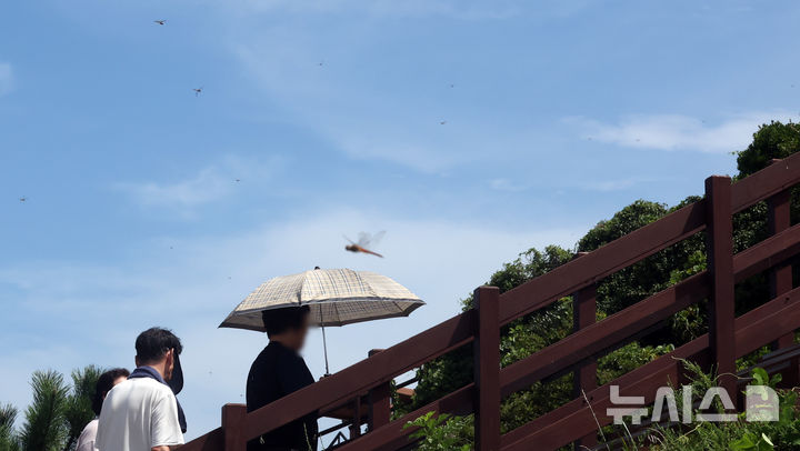 부산, 흐리다 오후부터 구름 많아져…낮 최고 33도