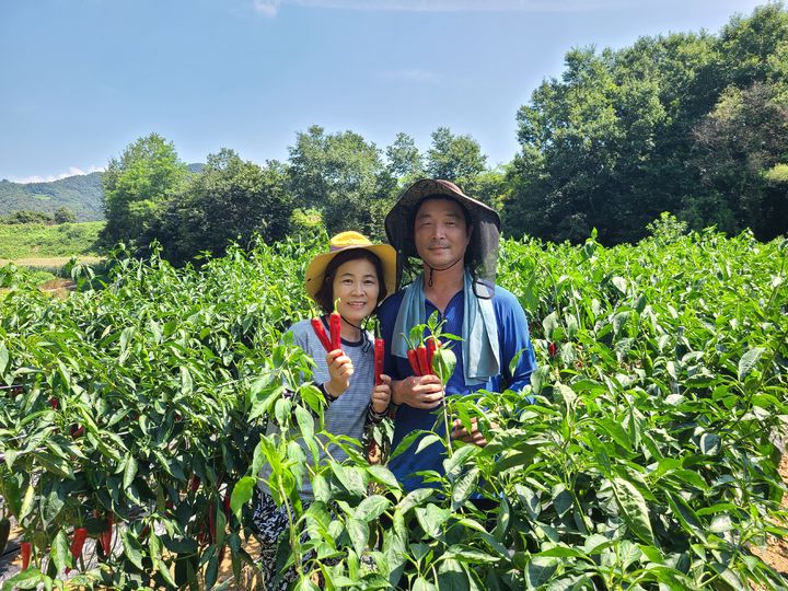 2024 괴산청결고추 품평회 대상 수상자 윤제연씨 부부(사진=괴산군 제공) *재판매 및 DB 금지