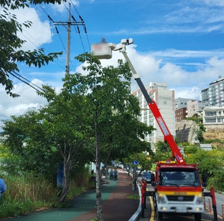 [울산=뉴시스] 29일 오전 울산에 강풍주의보가 발효된 가운데 한국전력이 고장난 신호등을 확인하고 있다. (사진=울산경찰청 제공) 2024.08.29. photo@newsis.com *재판매 및 DB 금지