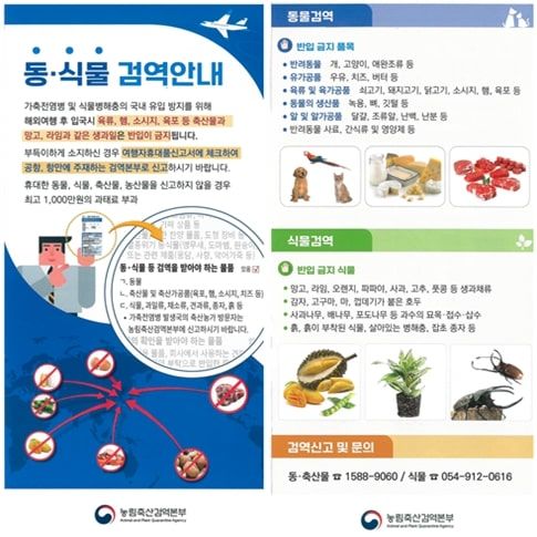 동식물 검역 안내. (자료 = 농림축산검역본부 제공) 2024.08.31. *재판매 및 DB 금지