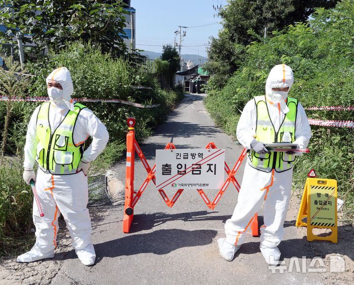 [김포=뉴시스] 전진환 기자 = 31일 오전 아프리카돼지열병(ASF)이 발생한 경기도 김포시 소재 한 양돈농장에서 가축위생방역지원본부 관계자들이 농장 입구에서 외부인의 출입을 통제하고 있다. 2024.08.31. amin2@newsis.com