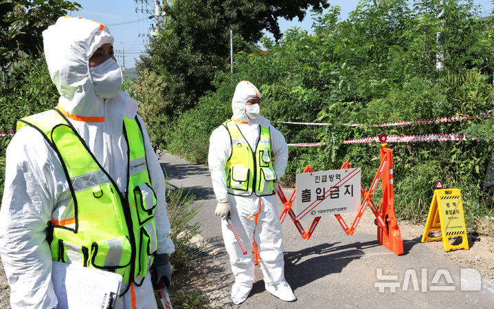 [김포=뉴시스] 전진환 기자 = 31일 오전 아프리카돼지열병(ASF)이 발생한 경기도 김포시 소재 한 양돈농장에서 가축위생방역지원본부 관계자들이 농장 입구에서 외부인의 출입을 통제하고 있다. 2024.08.31. amin2@newsis.com