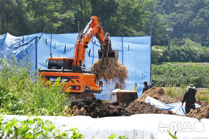 [이천=뉴시스] 김종택 기자 = 소 바이러스성 질병인 럼피스킨병이 발생한 경기도 이천시 한 젖소농장에서 1일 방역 관계자들이 외부인 출입을 통제하고 살처분 작업을 하고 있다. 2024.09.01. jtk@newsis.com