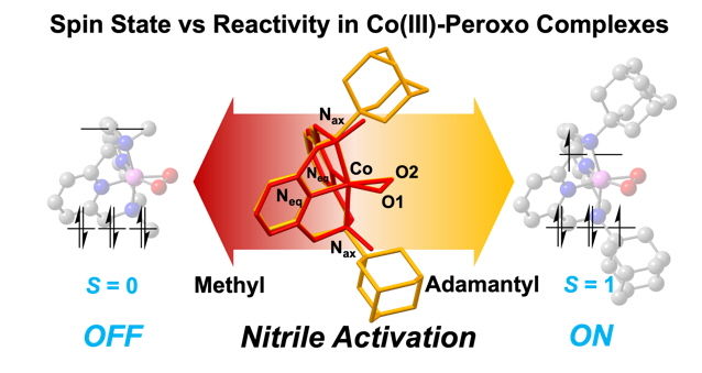 [울산=뉴시스] 배위자가 다른 코발트-퍼옥소 종의 다른 스핀 상태와 이에 따른 나이트릴 활성 반응 연구그림. (사진=UNIST 제공) photo@newsis.com *재판매 및 DB 금지