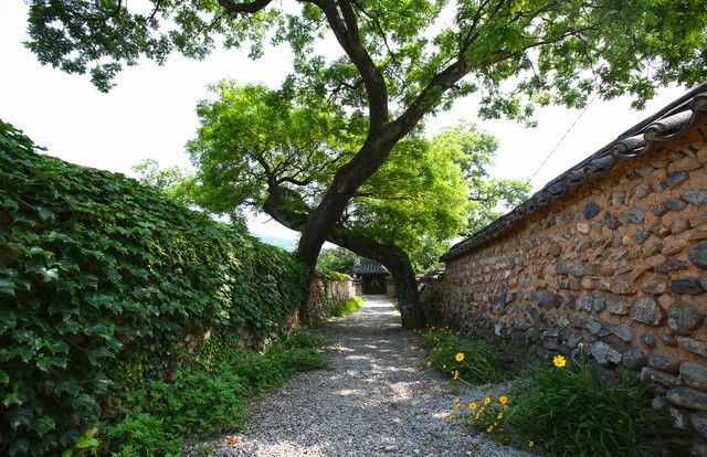 [산청=뉴시스]산청 남사예담촌 (사진=뉴시스 DB).photo@newsis.com *재판매 및 DB 금지 *재판매 및 DB 금지