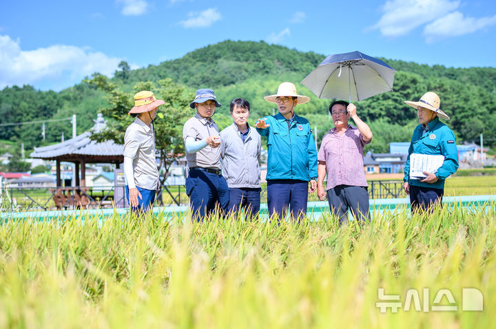 경남 남해군, 벼멸구 방제 총력…붐스프레이어도 무상임대