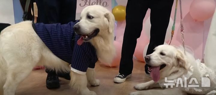 Unlock the Secret to a Longer Life: Discover the Surprising Connection Between Your Lifestyle and Your Biological Age