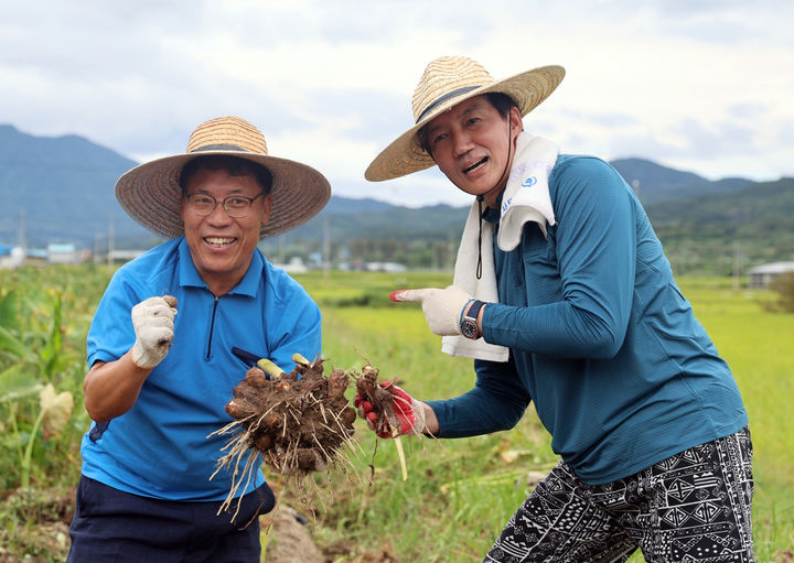 [서울=뉴시스] 고승민 기자 = 조국 조국혁신당 대표와 박웅두 곡성군수 재보궐선거 후보가 지난 16일 전남 곡성군 겸면에서 토란 수확 일손 돕기를 하고 있다. (사진=조국혁신당 제공) 2024.09.18. photo@newsis.com *재판매 및 DB 금지