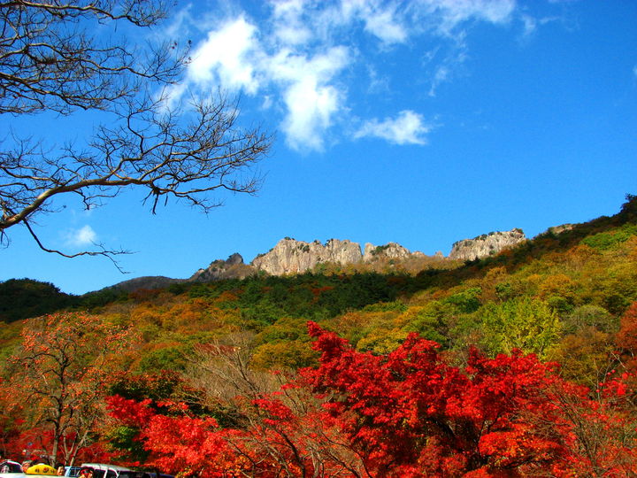 단풍 절정기 내장산국립공원, 탐방객 예약제가 실시되는 구간 중심 서래봉이 보인다. *재판매 및 DB 금지