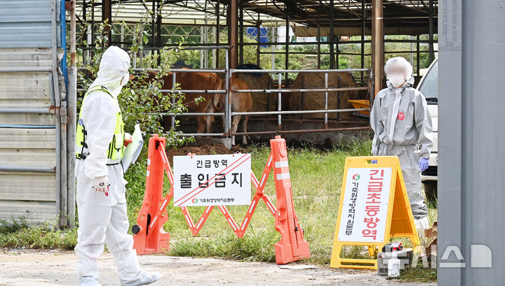 [여주=뉴시스] 김종택 기자 = 소 바이러스성 질병인 럼피스킨병이 발생한 경기도 여주시 한 한우농장에서 19일 방역 관계자들이 외부인 출입을 통제하고 있다.  정부는 최근 두 달 새 가축전염병인 럼피스킨이 네 차례 발생하자 검사와 소독 등 방역 관리를 강화하기로 했다. 2024.09.19. jtk@newsis.com