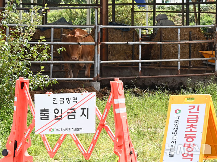 [고성=뉴시스] 소 바이러스성 질병인 럼피스킨병이 발생한 한우농장에서 방역 관계자들이 외부인 출입을 통제하고 있다. (사진=뉴시스 DB). photo@newsis.com 