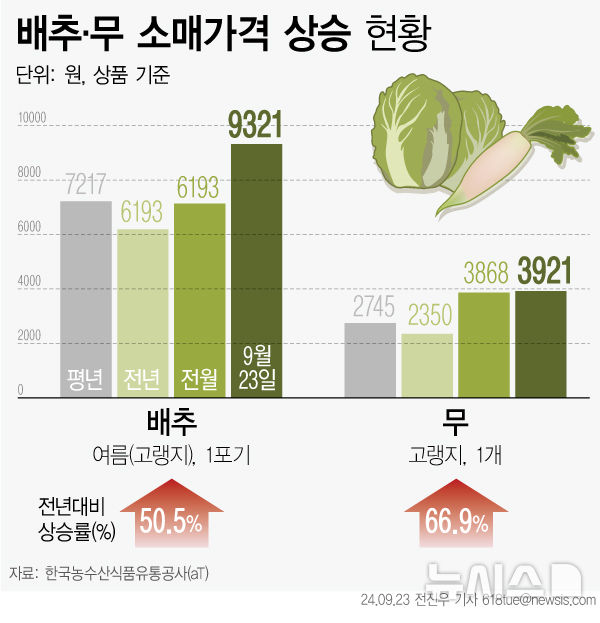 그래픽뉴스