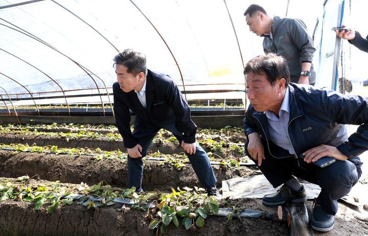 [창원=뉴시스]경남농협, 집중호우 농업 피해현장 점검.2024.09.23.(사진=경남농협 제공) photo@newsis.com *재판매 및 DB 금지