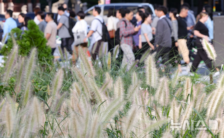 충남권 화창한 주말…낮 최고기온 28~30도