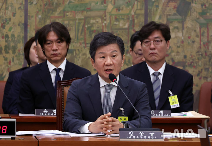 축구계의 변화와 도전, 청문회와 감독 선임이 가져올 새로운 방향성
