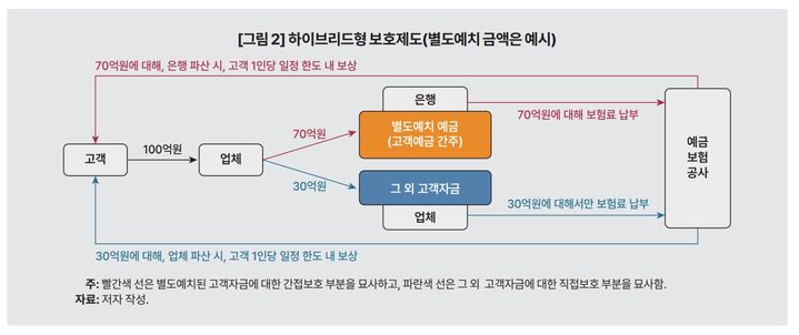 하이브리드형 보호제도. (자료 = 한국개발연구원 제공) 2024.09.25. *재판매 및 DB 금지