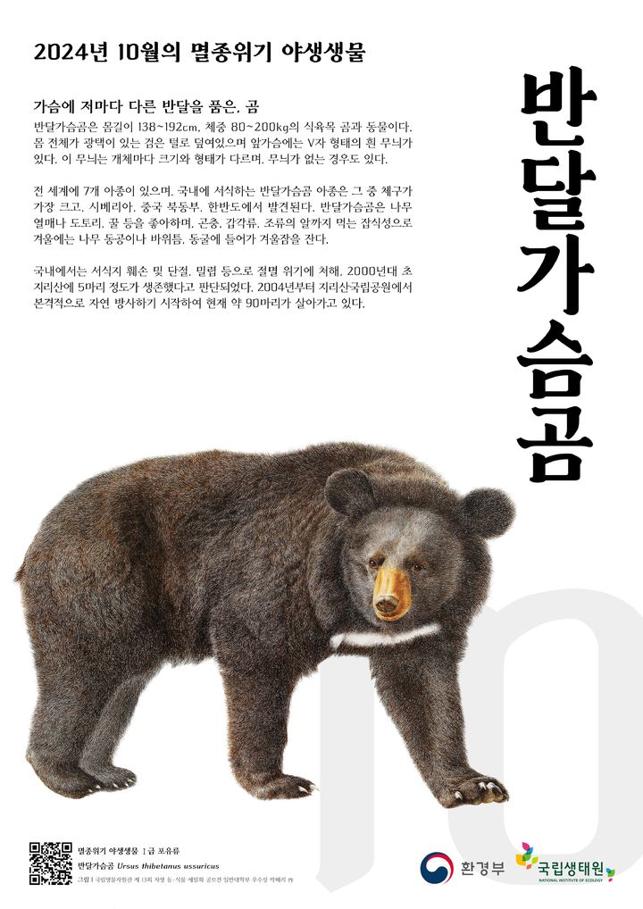 이달의 멸종위기 생물 '반달가슴곰'…지리산 80여마리 생존