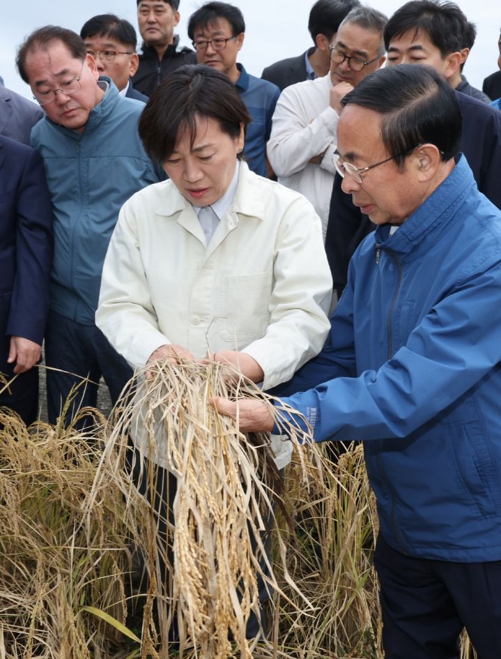 [서울=뉴시스] 전신 기자 = 송미령 농림축산식품부 장관이 1일 전북 임실의 벼멸구 피해현장을 방문해 심민 임실군수 등과 함께 수확기 작황과 피해 상황을 점검하고 있다. (사진=농림축산식품부 제공) 2024.10.01. photo@newsis.com *재판매 및 DB 금지