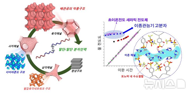 [서울=뉴시스]이달의 과학기술인상 10월 수상자로 선정된 박문정 포항공과대학교(포스텍) 화학과 교수는 고분자 말단 그룹의 중요성을 선도적으로 인식하고, 말단그룹 치환만을 통해 중심부 나노구조체의 변화를 효과적으로 제어하는 새로운 방법론을 정립했다는 평가를 받았다. (사진=과학기술정보통신부 제공)