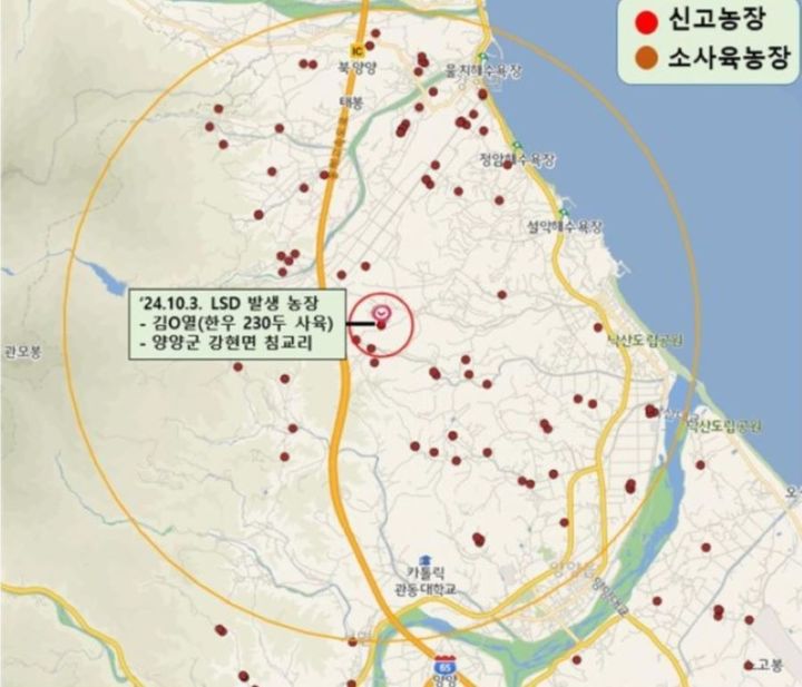 [춘천=뉴시스] 3일 강원특별자치도 방역 당국은 이날 강원 양양군 강현면 소재 한우농가에서 럼피스킨이 발생해 방역당국이 홍천 등 인접 5개 시군 일시 이동중지명령 발동하는 등 긴급 방역 조치에 나섰다고 밝혔다. 강원특별자치도 제공 *재판매 및 DB 금지