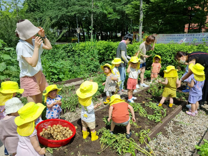 [서울=뉴시스]모아어린이집 공동체 텃밭 활동. 2024.10.06. (사진=서울시 제공) *재판매 및 DB 금지