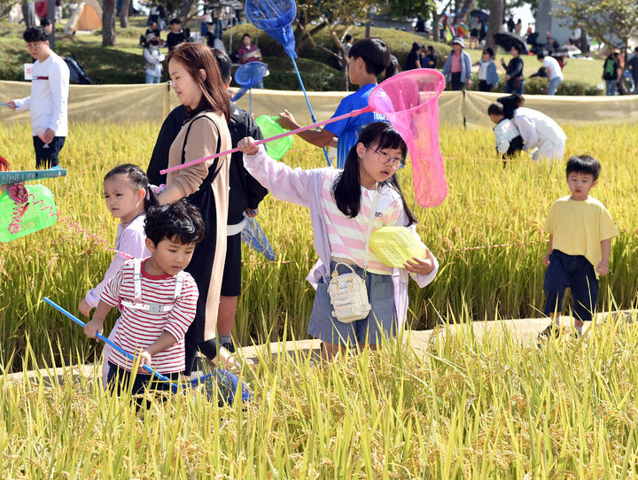 김제지평선축제, 56개 프로그램 성황리 마무리