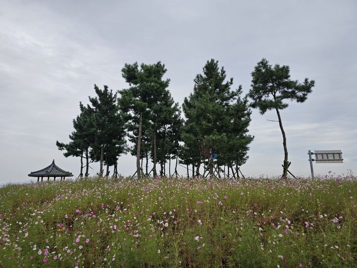 충남권 아침 한때 비…대체로 흐림