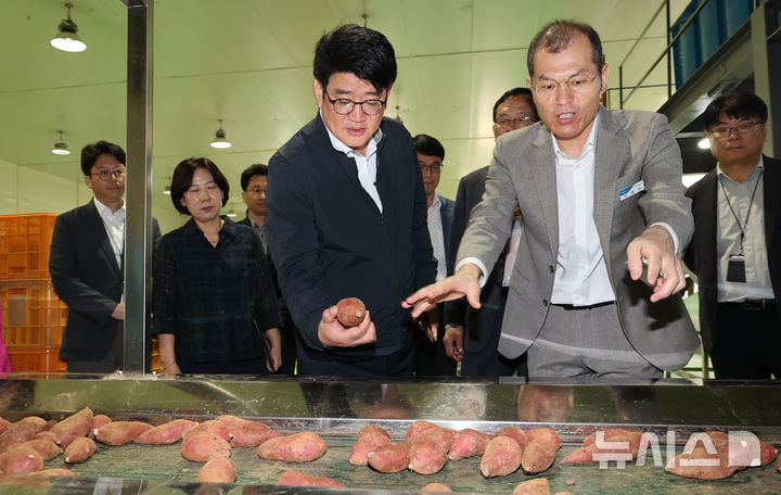 [세종=뉴시스]권재한 농촌진흥청장은 8일 전북특별자치도 김제시 공덕농협 농산물가공사업소를 방문해 고구마 재배·유통·수출 관련 애로사항을 듣고, 현장 맞춤형 기술지원 상황을 점검했다.(사진=농진청 제공)