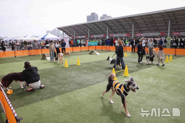 [용인=뉴시스]13일 열린 반려동물 문화축제