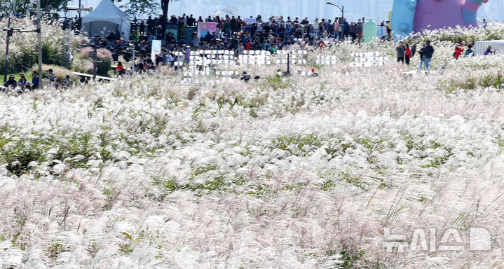 [서울=뉴시스] 추상철 기자 = 20일 오후 서울 마포구 하늘공원에서 열린 '서울억새축제'에서 시민들이 가을 정취를 즐기고 있다. 2024.10.20. scchoo@newsis.com