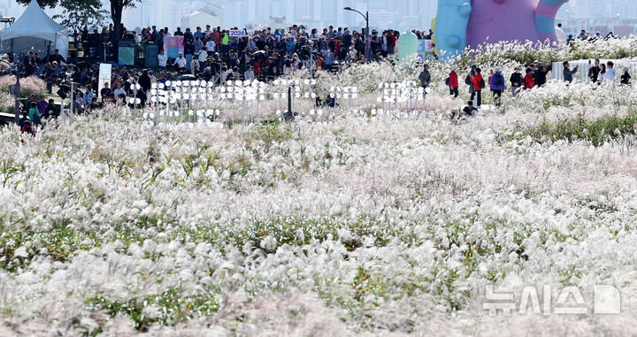 [서울=뉴시스] 추상철 기자 = 20일 오후 서울 마포구 하늘공원에서 열린 '서울억새축제'에서 시민들이 가을 정취를 즐기고 있다. 2024.10.20. scchoo@newsis.com